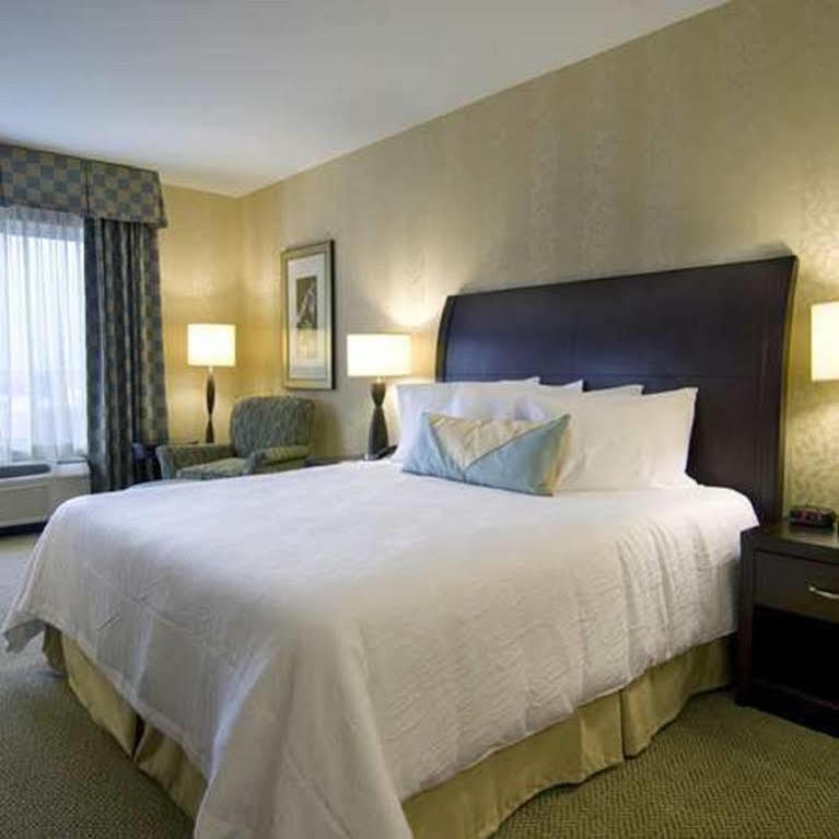 Hilton Garden Inn Detroit/Novi Ngoại thất bức ảnh